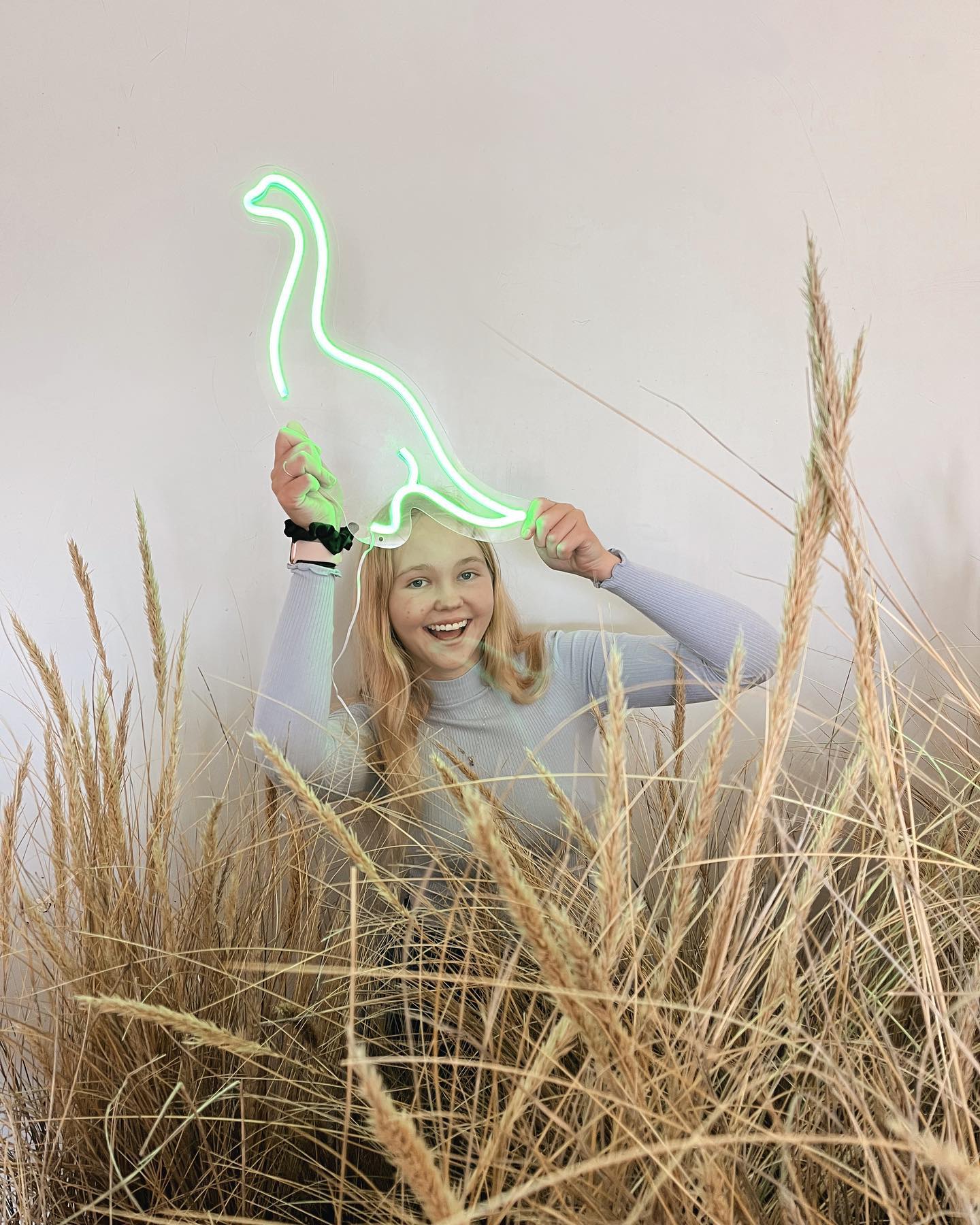 Dinosaur LED Neon Light Sign