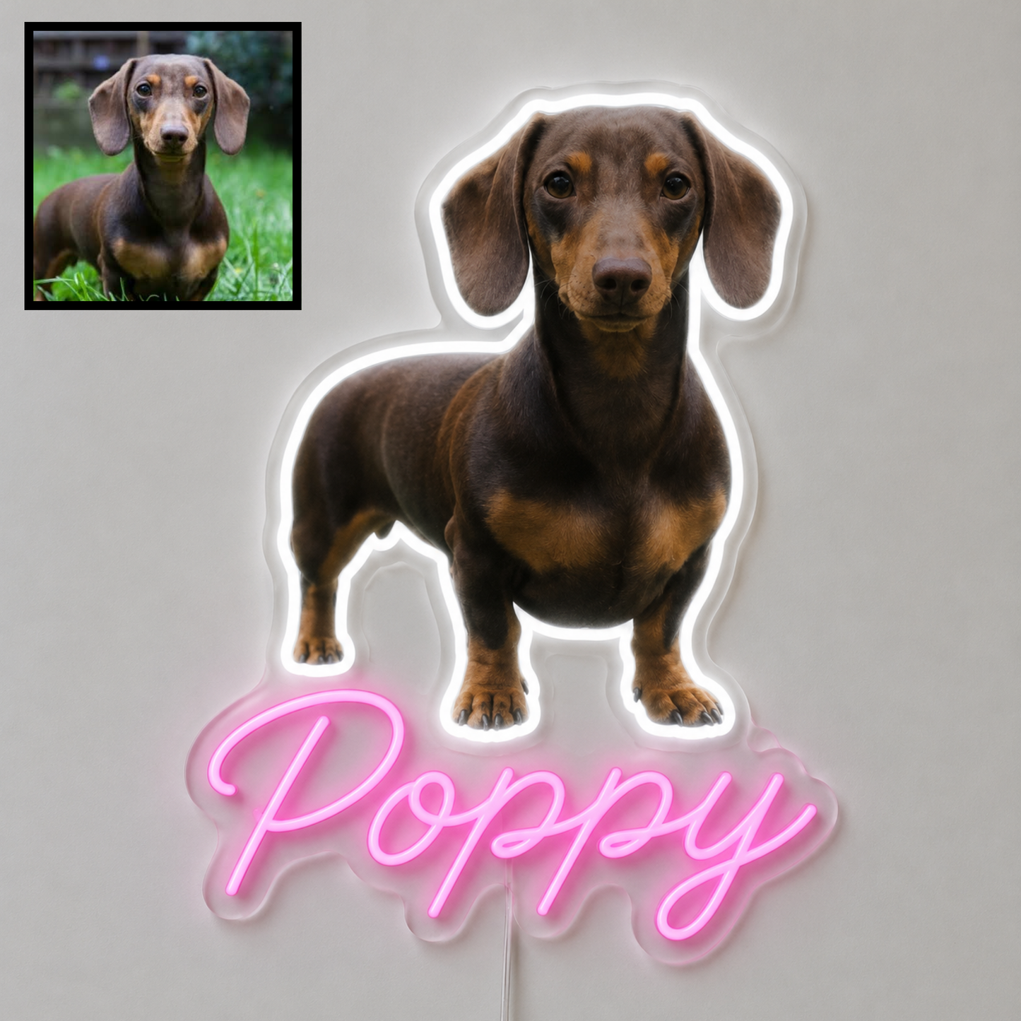 Custom Dachshund LED neon sign with personalised dog name on clear acrylic