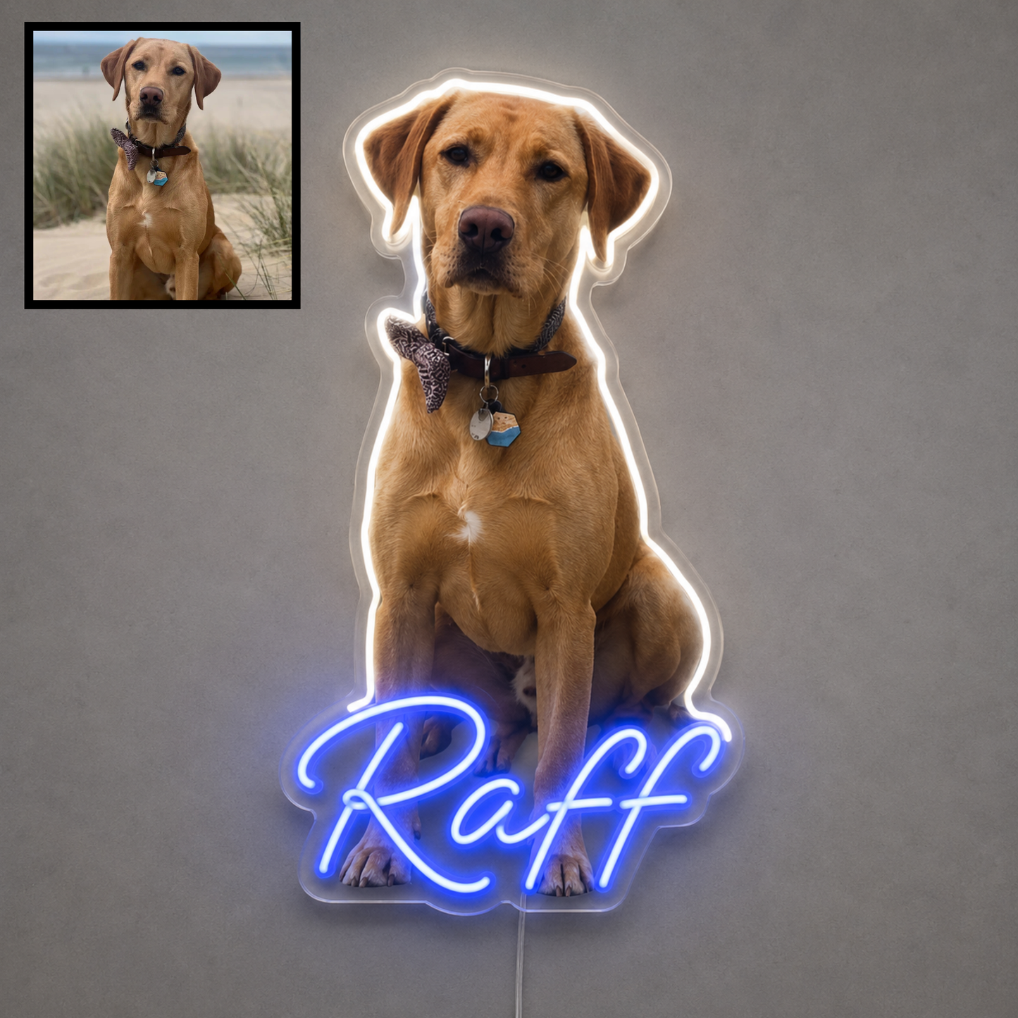Custom Labrador LED neon sign with personalised dog name on clear acrylic