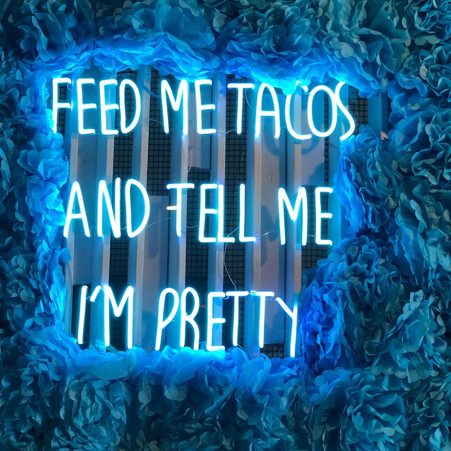 Blue neon sign in melbourne restaurant saying "Feed Me Tacos and Tell Me I'm Pretty"