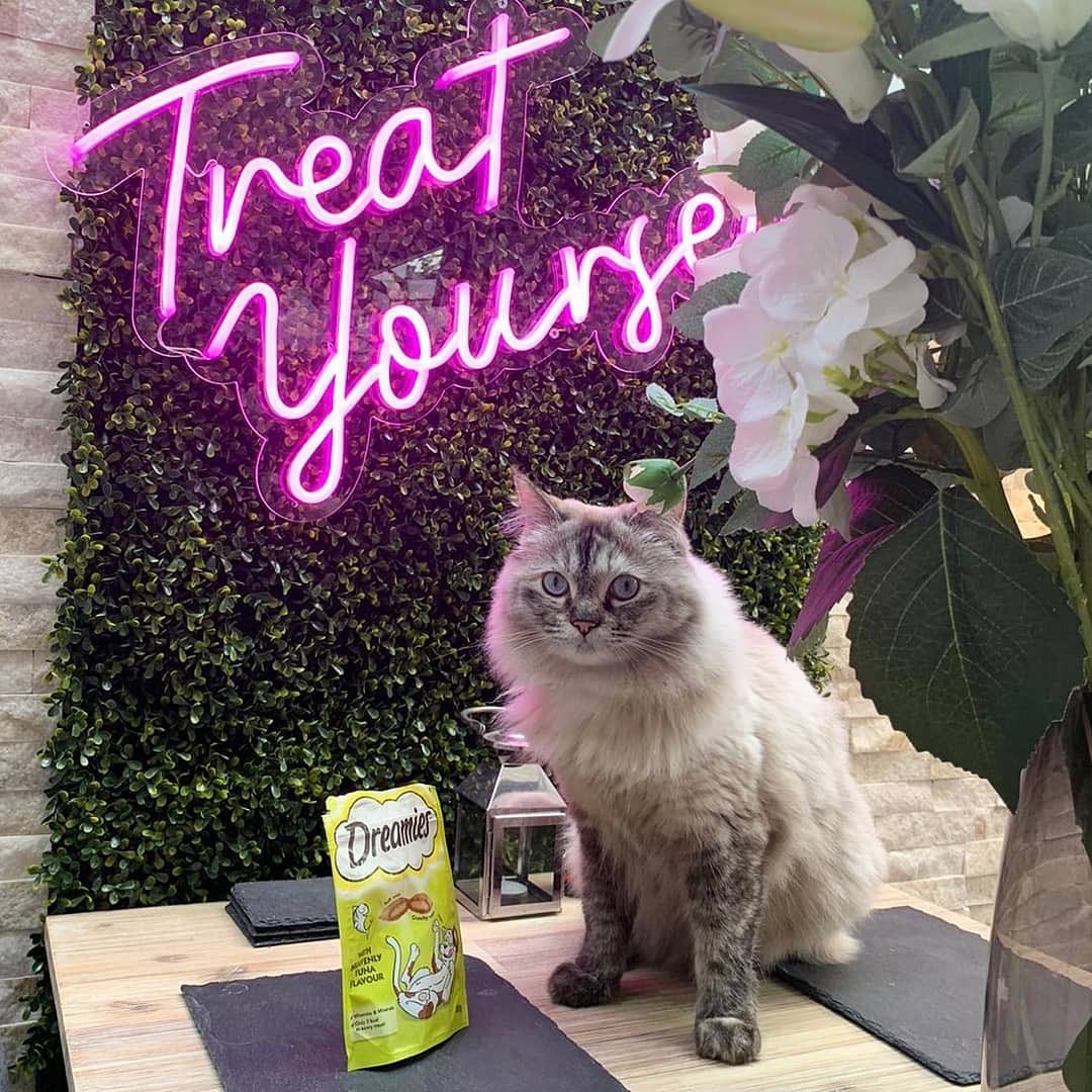 How Small Businesses Are Using Neon Signs to Stand Out and Succeed