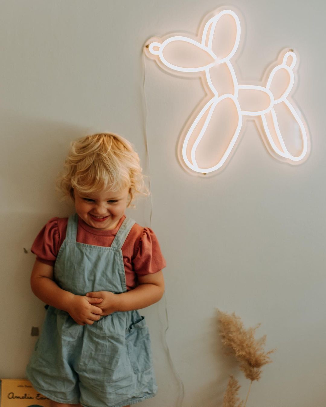 LED Neon Signs for the Kids bedroom