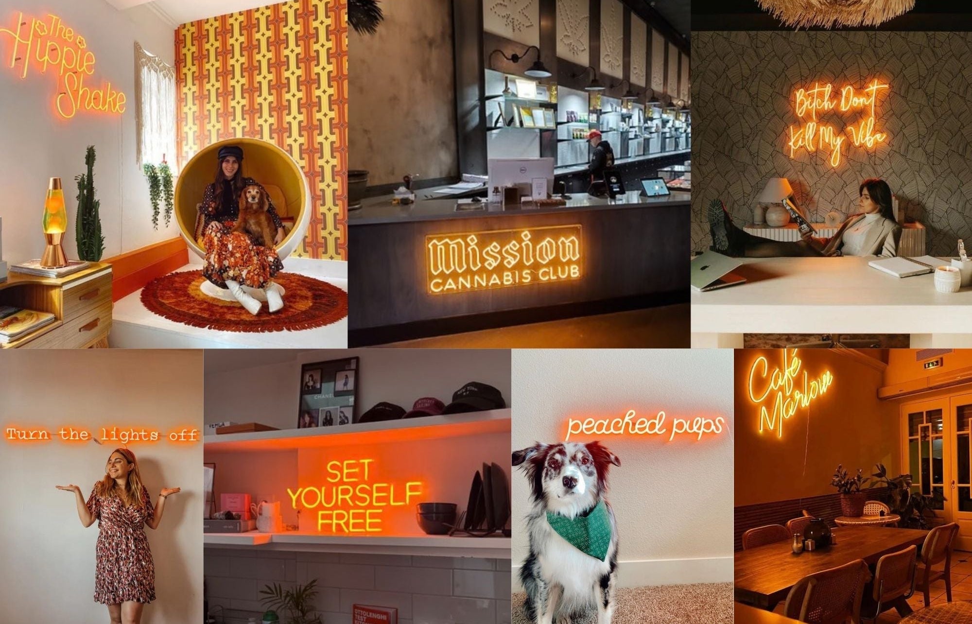 Orange LED Neon Signs