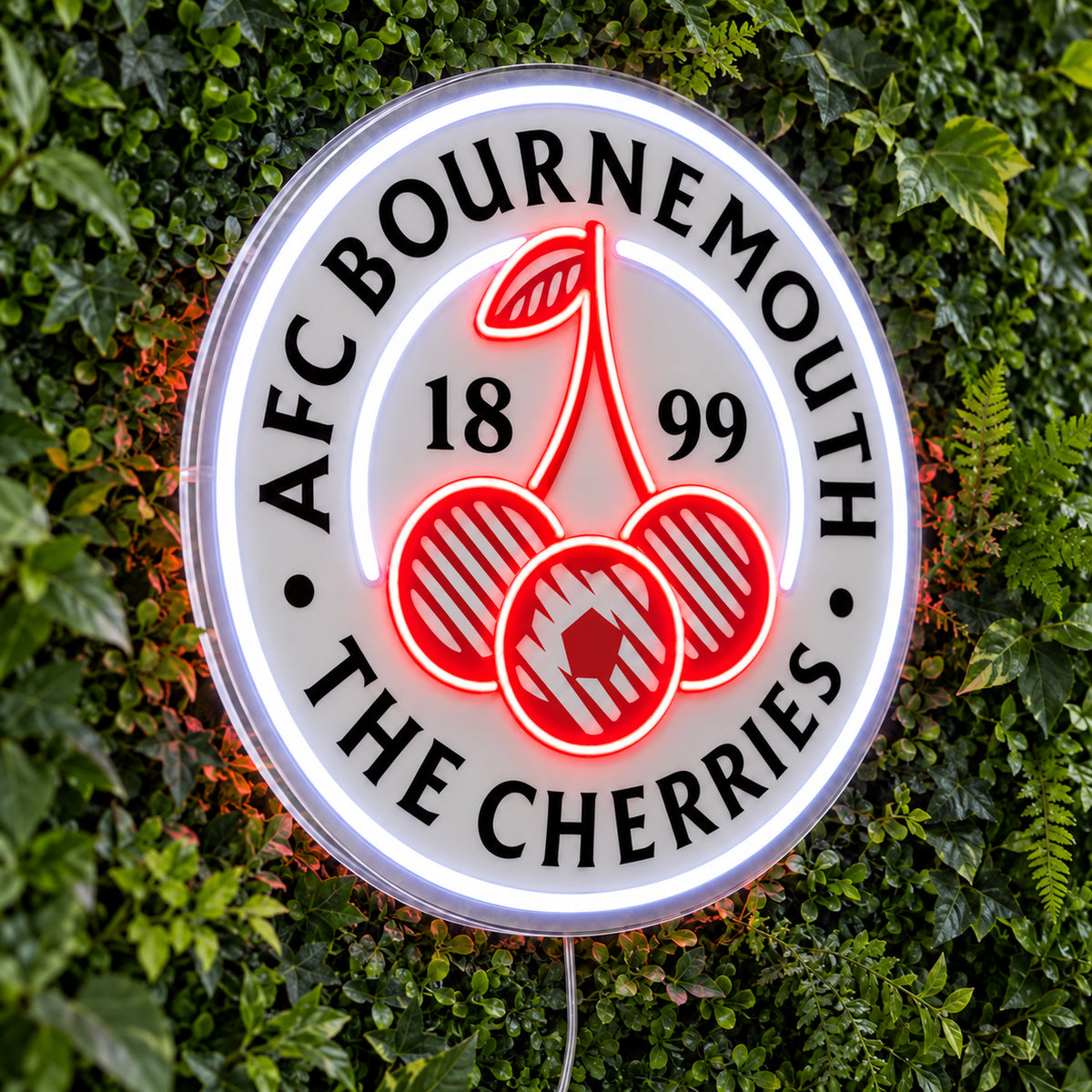 AFC Bournemouth LED Neon Sign product photo 1
