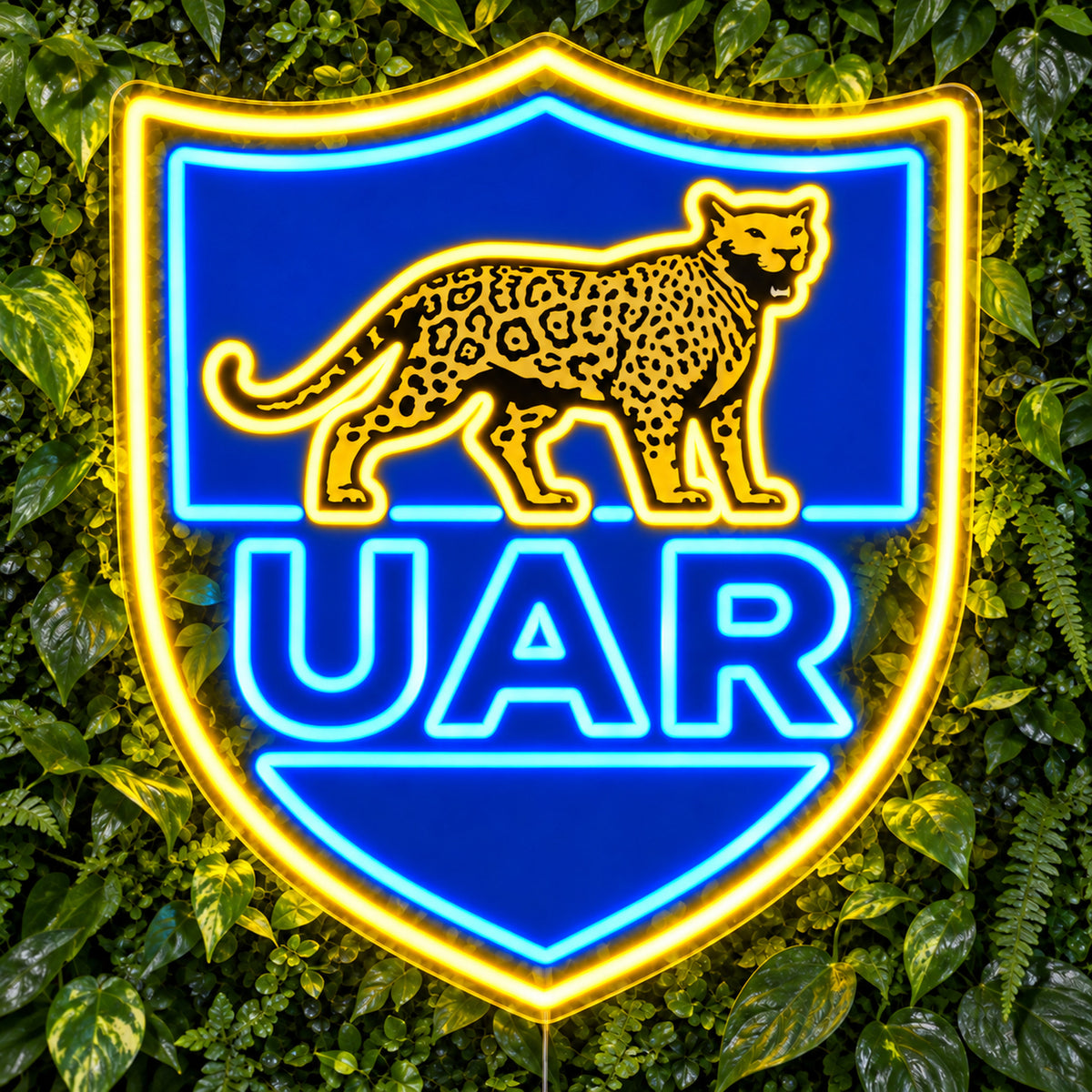 Argentina Rugby LED Neon Sign product photo 1