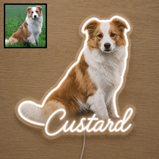 Custom Border Collie LED neon sign with personalised dog name on clear acrylic
