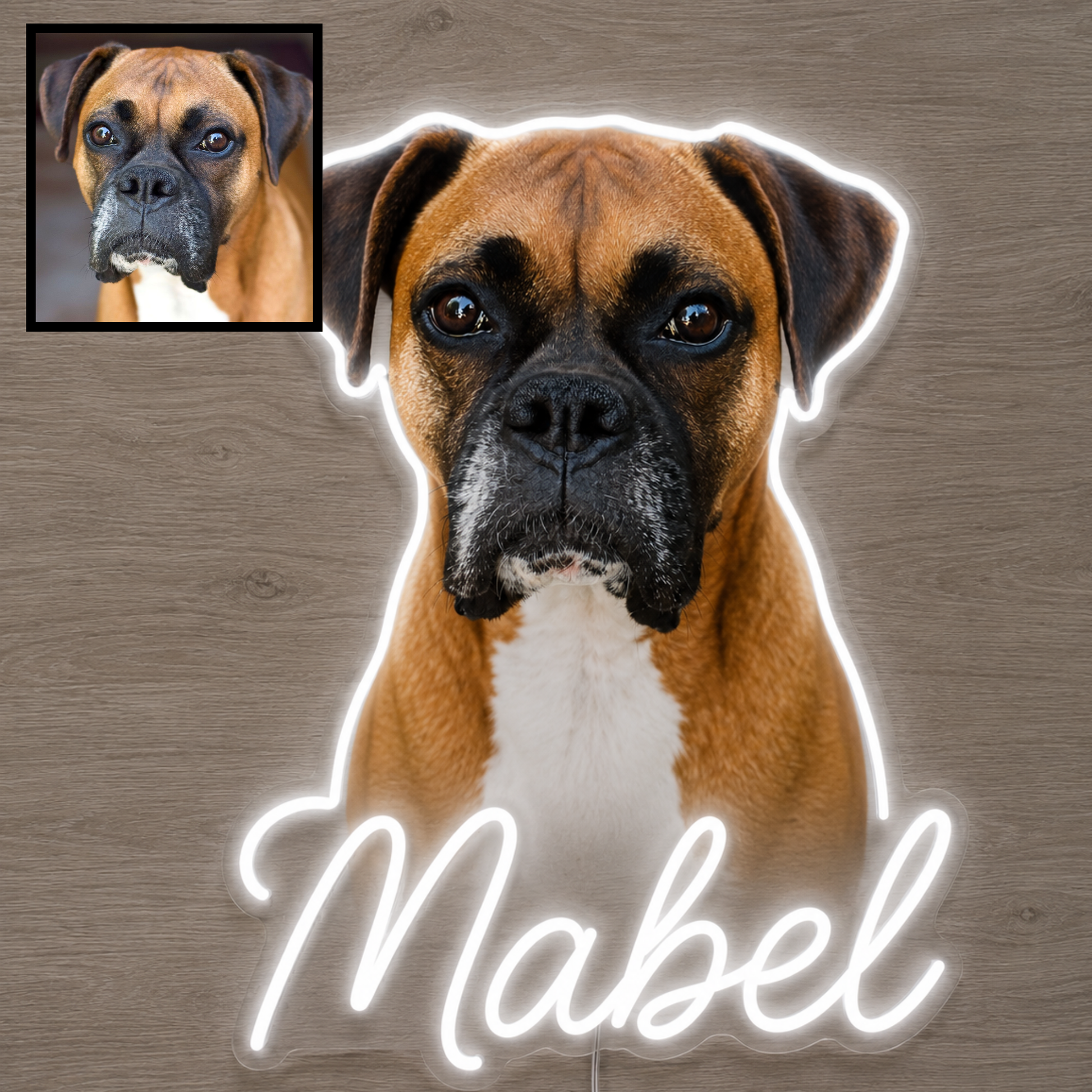 Custom Boxer LED neon sign with personalised dog name on clear acrylic