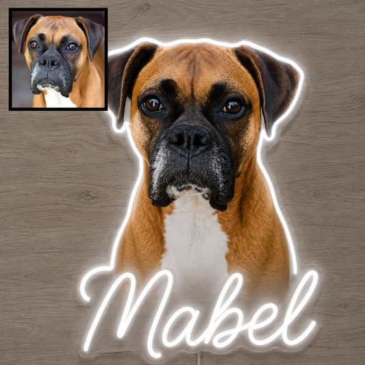 Custom Boxer LED neon sign with personalised dog name on clear acrylic
