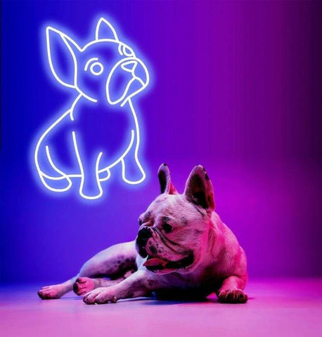 Realistic dog lying on a purple floor with a neon outline of a dog above it.