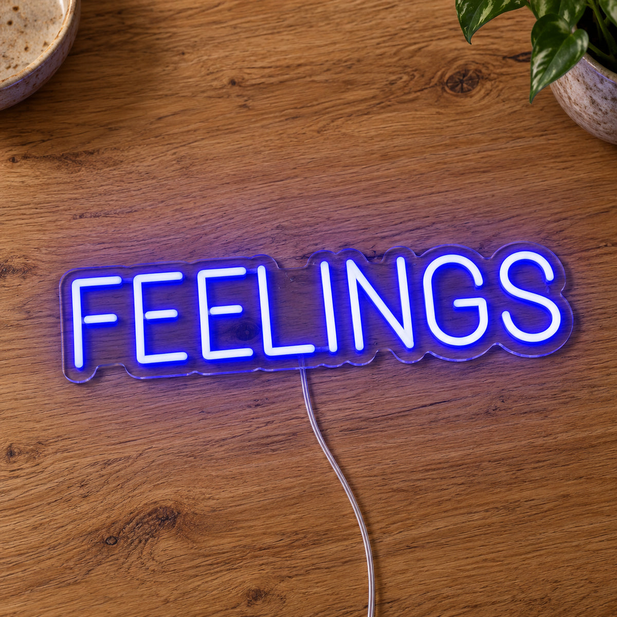 Feelings Neon Sign product photo 2