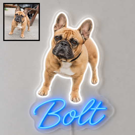 Custom French Bulldog LED neon sign with personalised dog name on clear acrylic