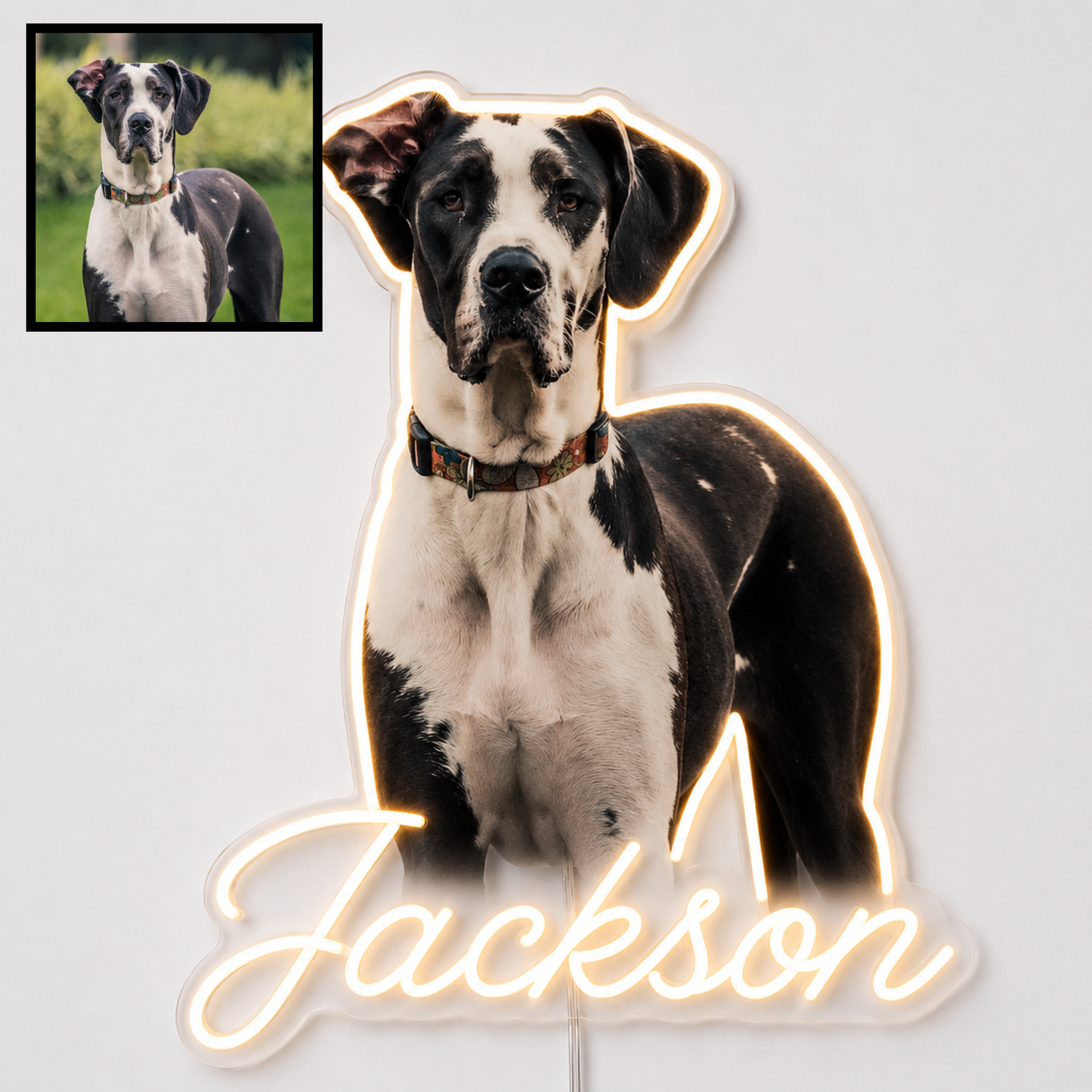 Custom Great Dane LED neon sign with personalised dog name on clear acrylic