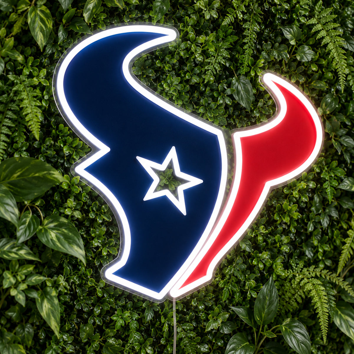 Houston Texans LED Neon Sign product photo 1