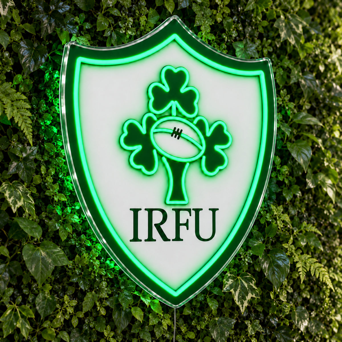Ireland Rugby LED Neon Sign product photo 1