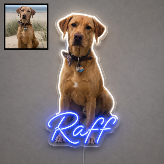 Custom Labrador LED neon sign with personalised dog name on clear acrylic