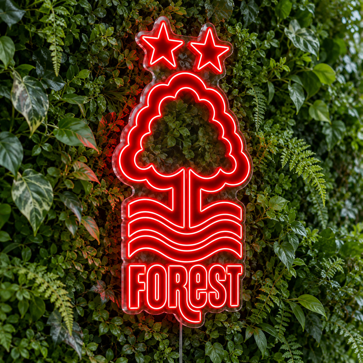 Nottingham Forest LED Neon Sign product photo 1