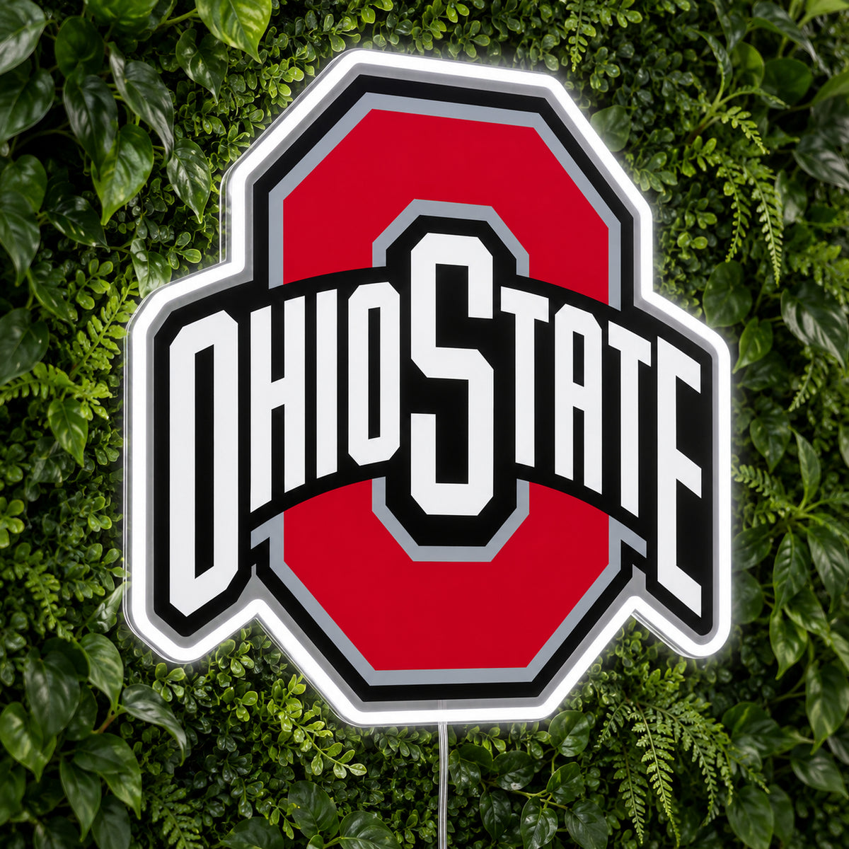 Ohio State LED Neon Sign product photo 1