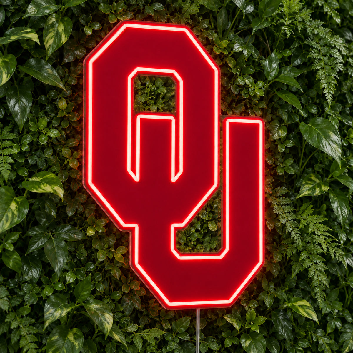 Oklahoma Sooners LED Neon Sign product photo 1