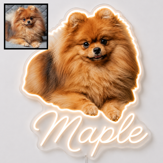 Custom Pomeranian LED neon sign with personalised dog name on clear acrylic