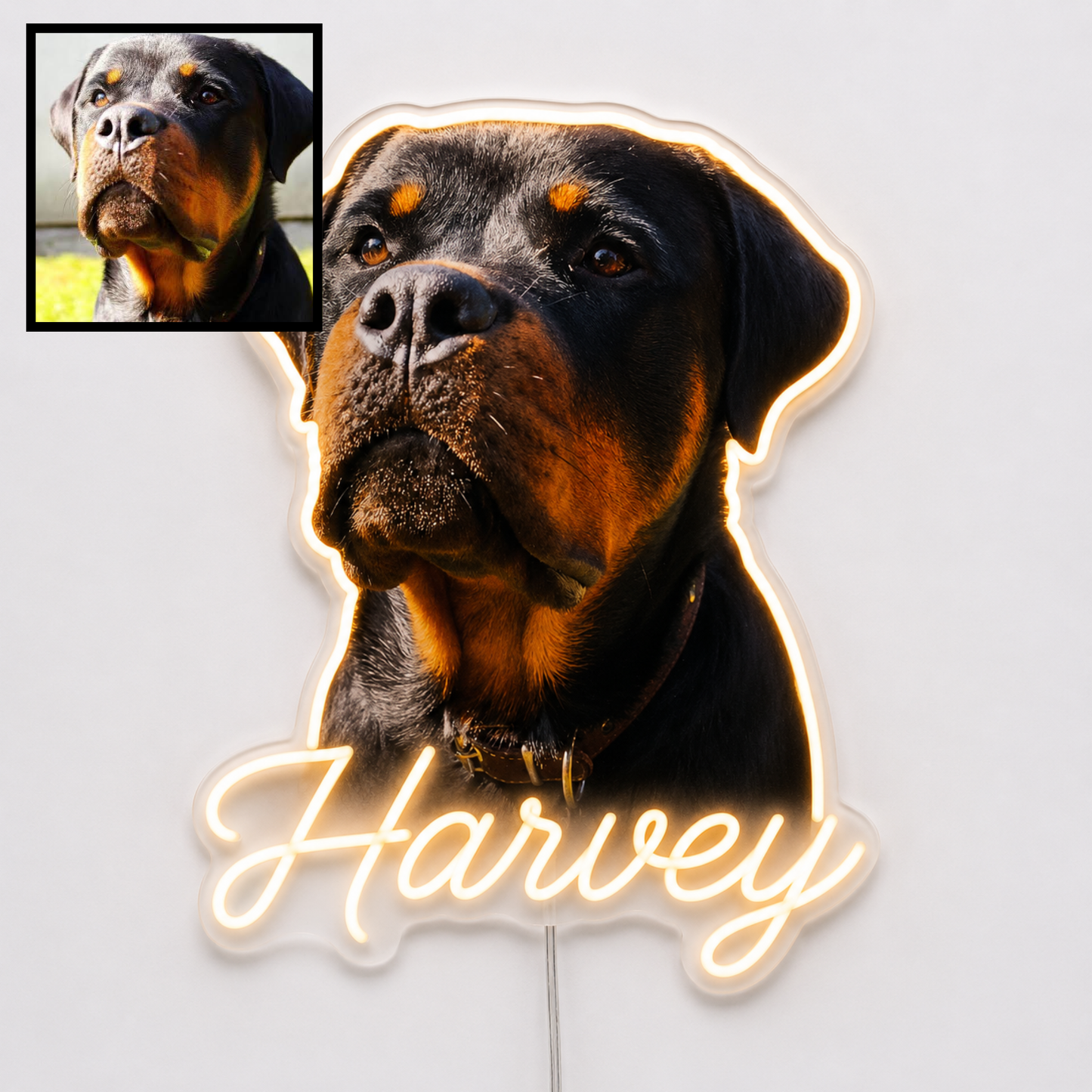 Custom Rottweiler LED neon sign with personalised dog name on clear acrylic