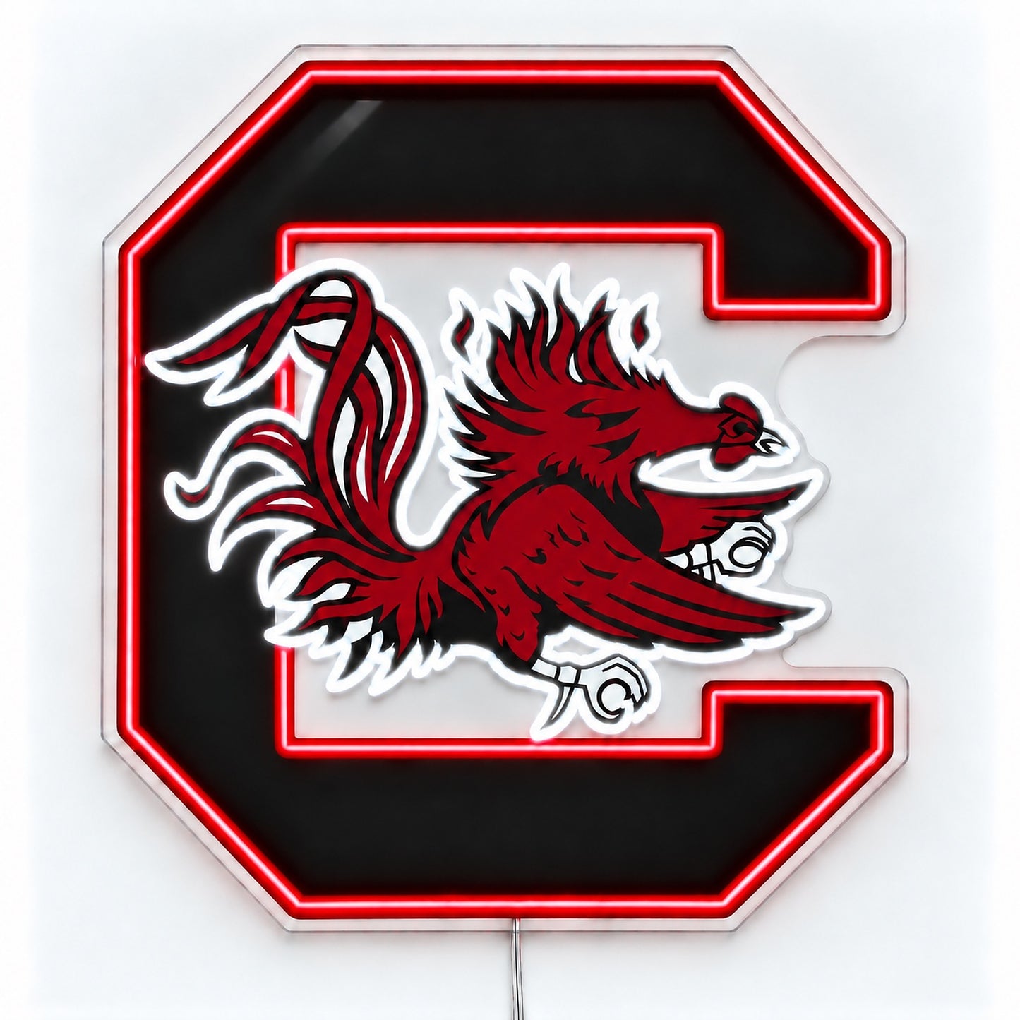 South Carolina Gamecocks LED neon sign in garnet and black