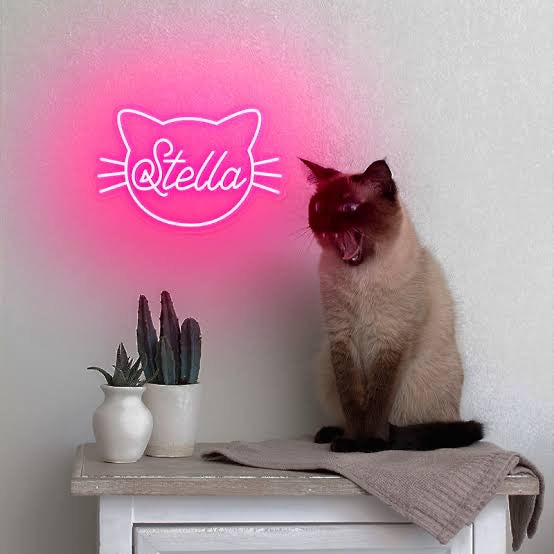 Cat sitting on a bench with a pink neon sign shaped like a cat's face with 'Stella' written inside in Melbourne home. 