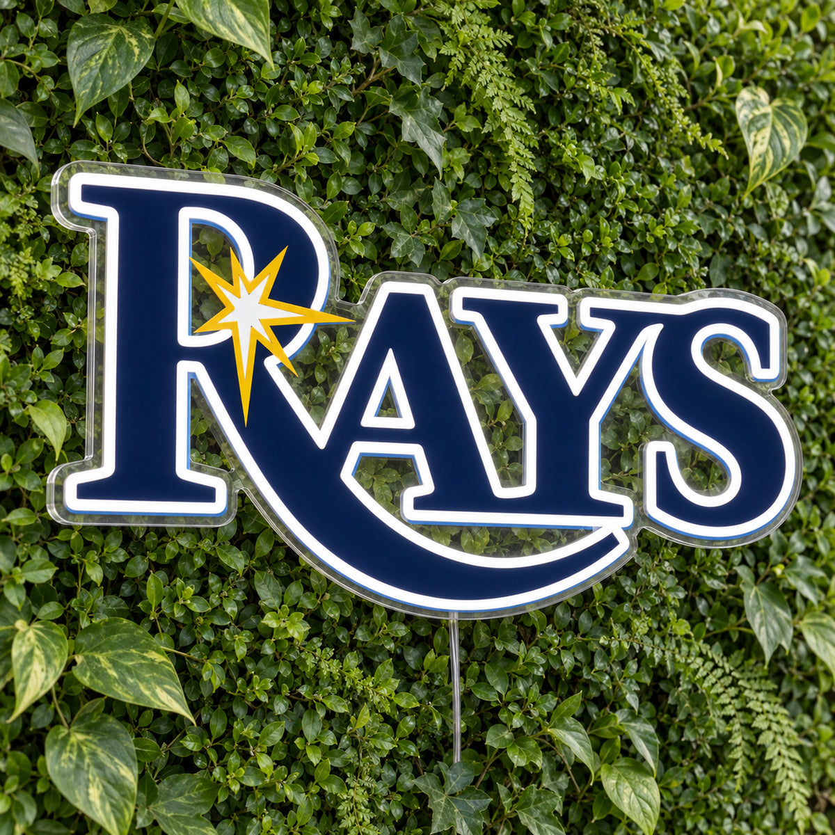 Tampa Bay Rays LED Neon Sign product photo 1