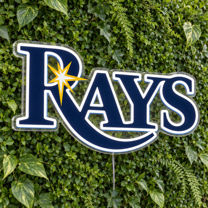 Tampa Bay Rays LED Neon Sign product photo 1