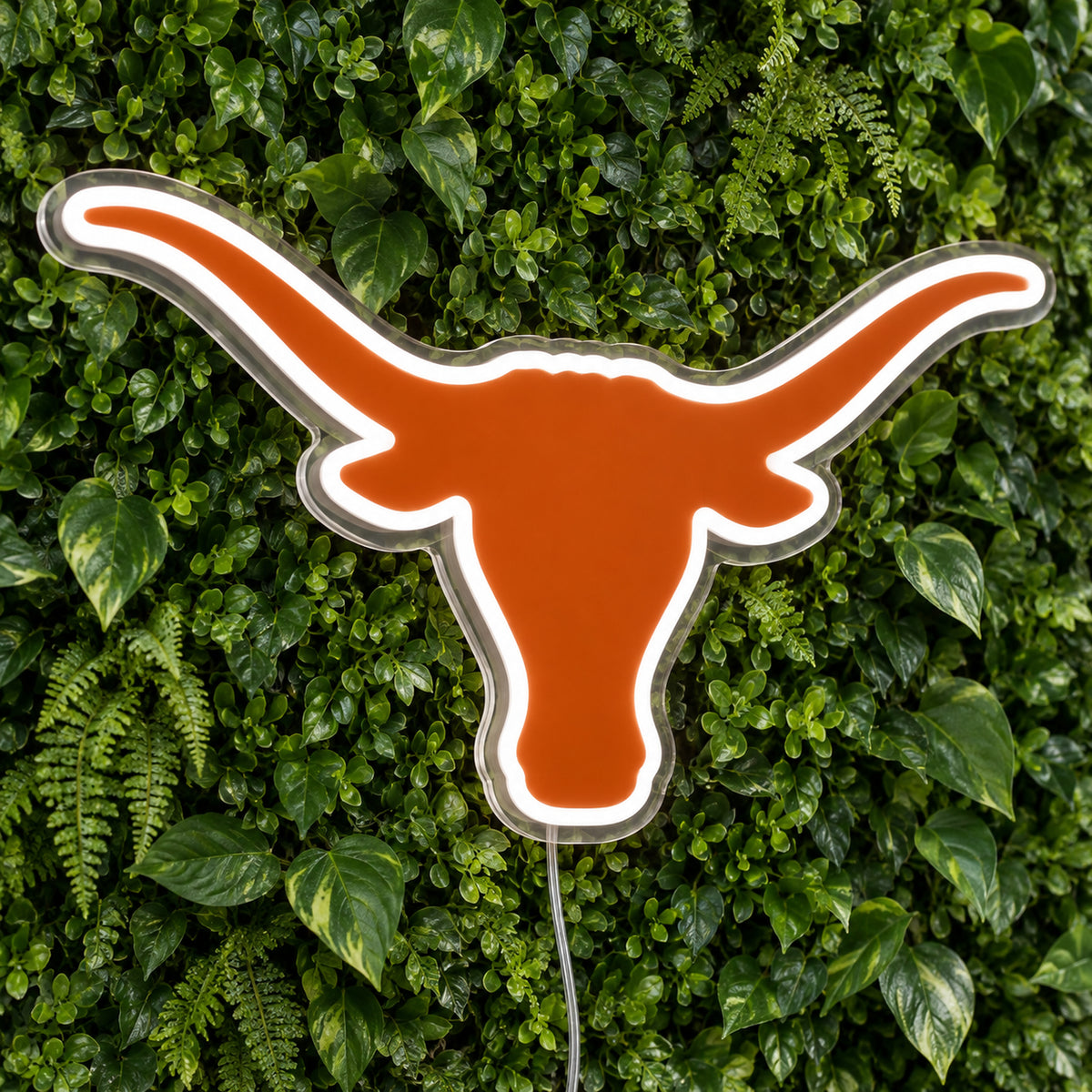 Texas Longhorns LED Neon Sign product photo 1