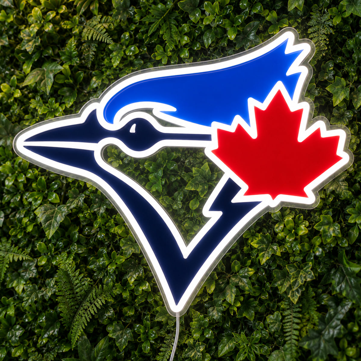 Toronto Blue Jays LED Neon Sign product photo 1