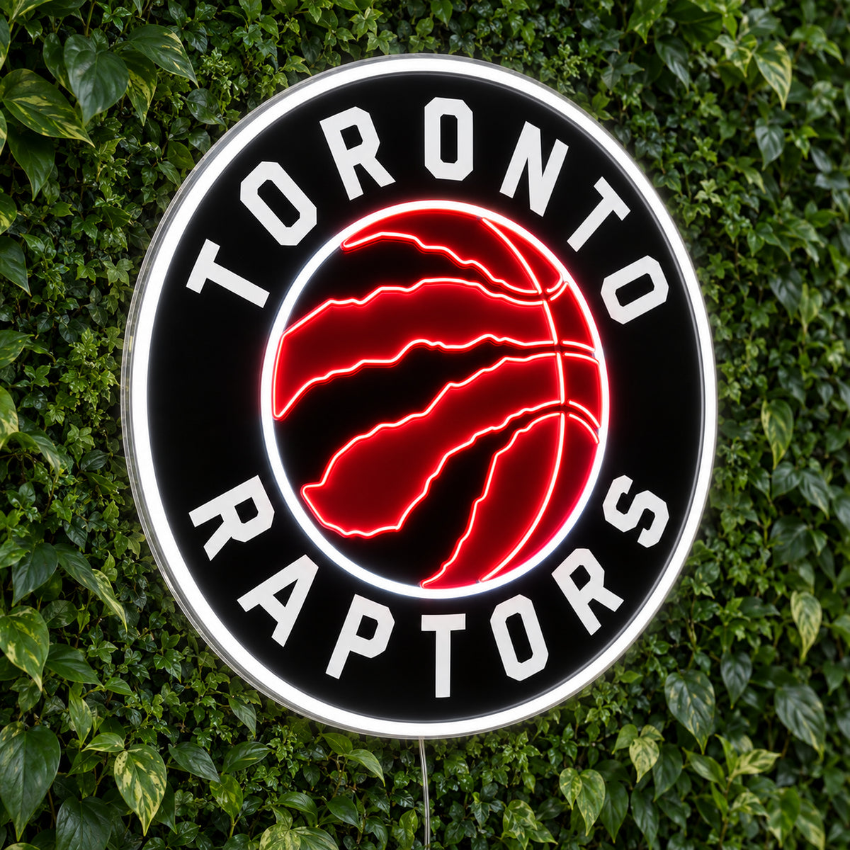 Toronto Raptors LED Neon Sign product photo 1
