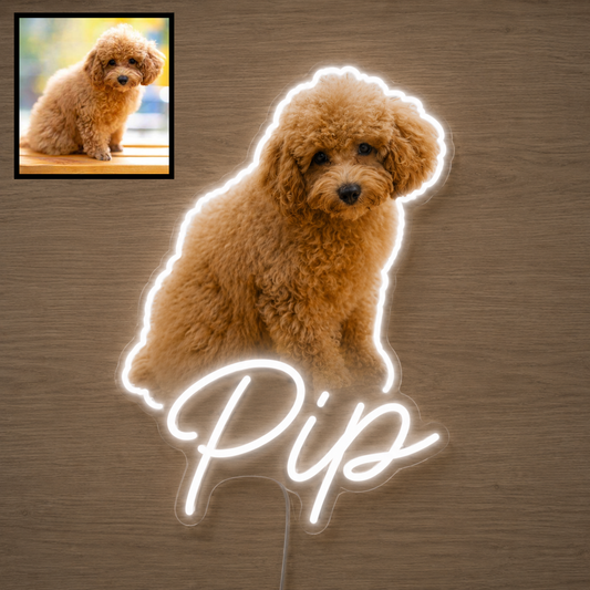 Custom Toy Poodle LED neon sign with personalised dog name on clear acrylic