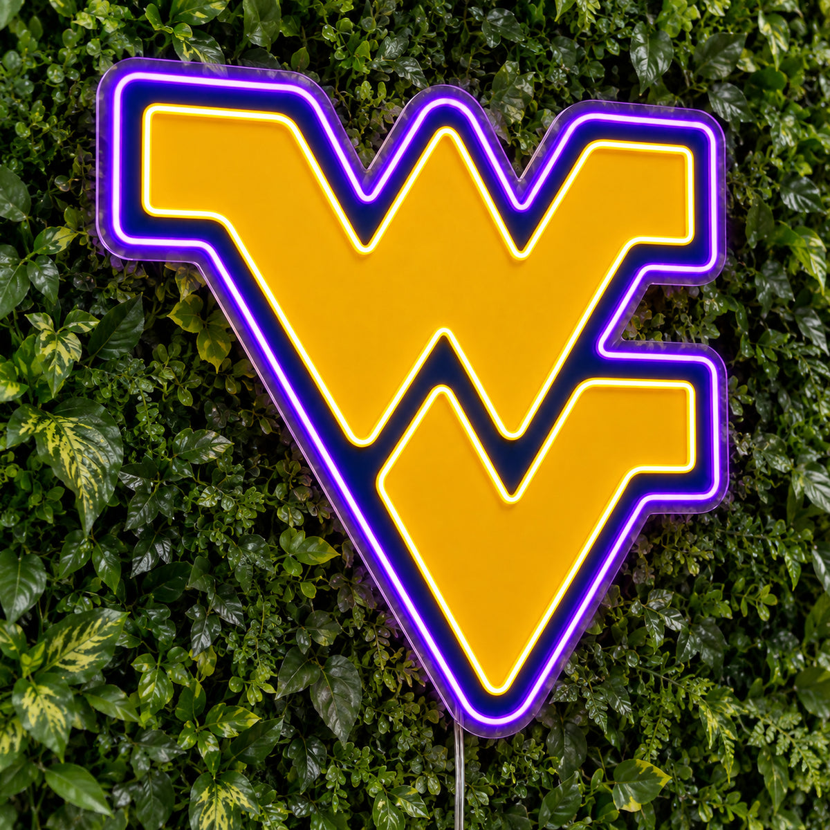 West Virginia Mountaineers LED Neon Sign product photo 1