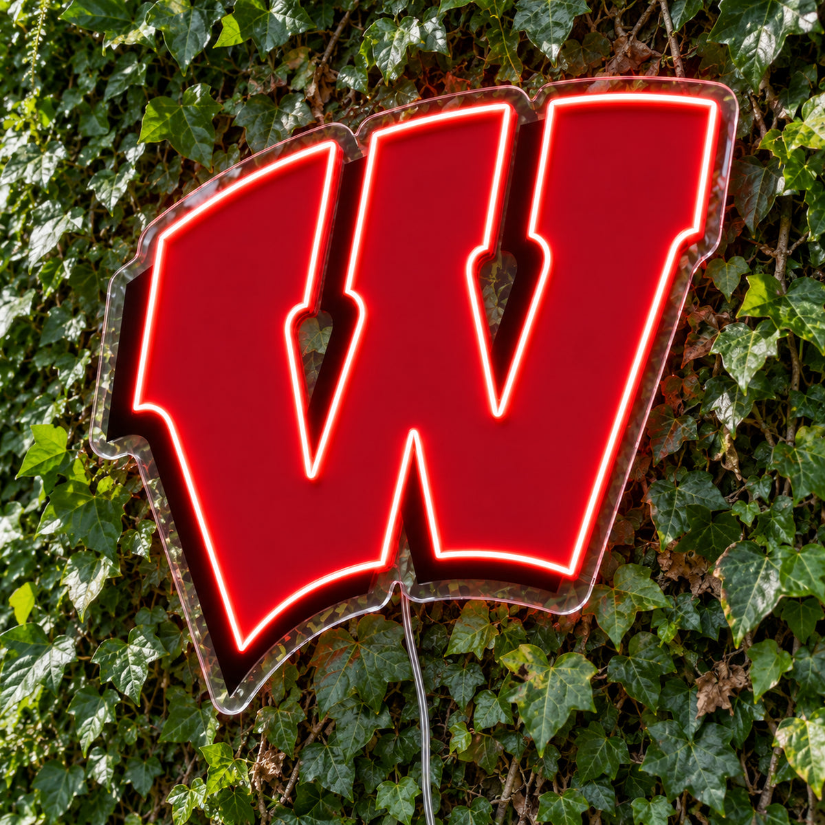 Wisconsin Badgers LED Neon Sign product photo 1
