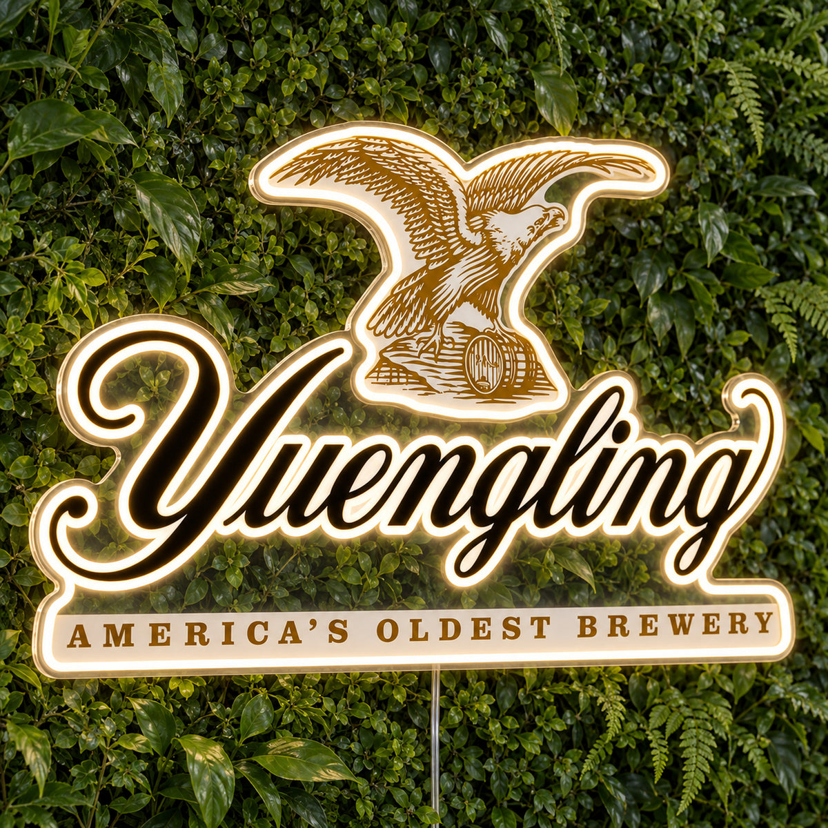 Yuengling LED Neon Sign product photo 1