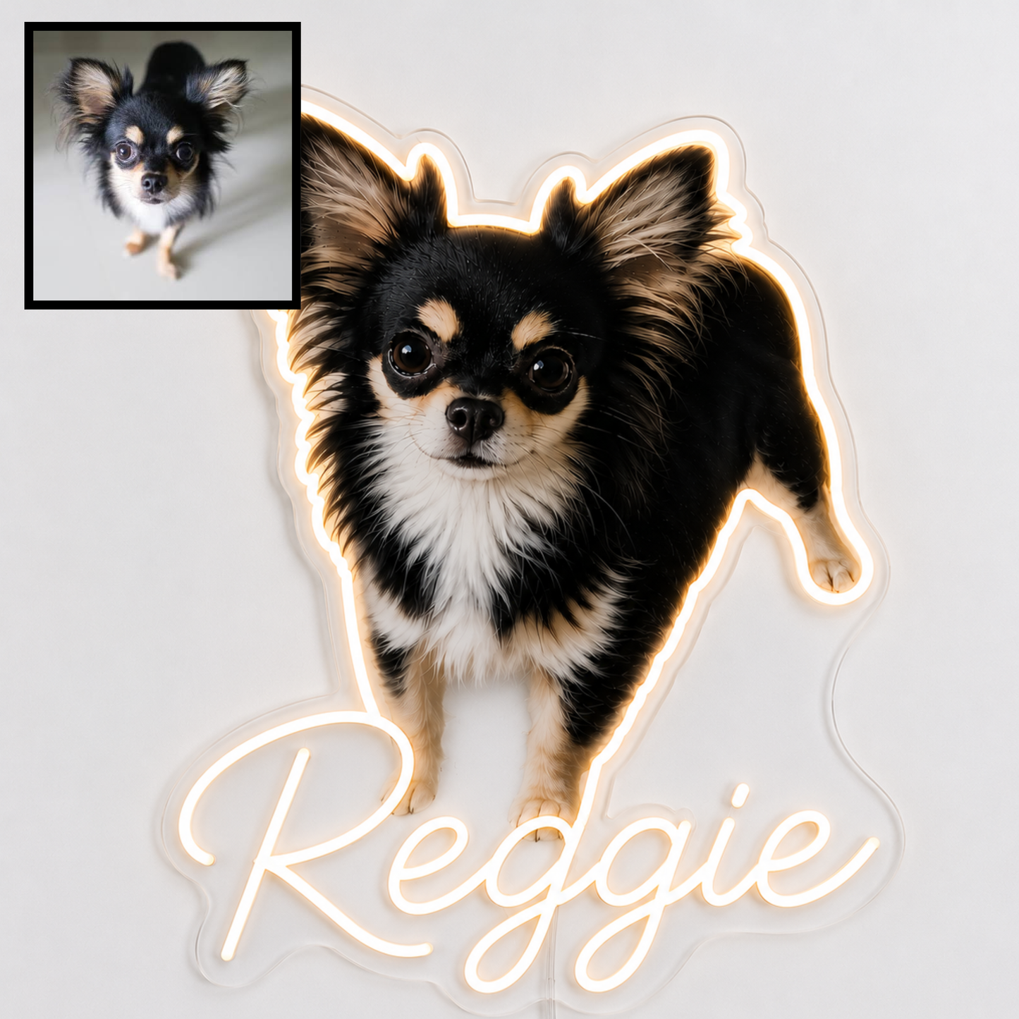 Custom Chihuahua LED neon sign with personalised dog name on clear acrylic